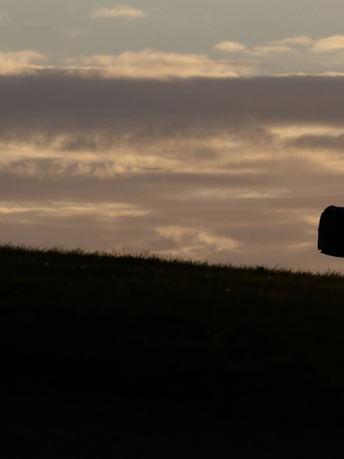 Foresight gets moving with Eden Mobility investment