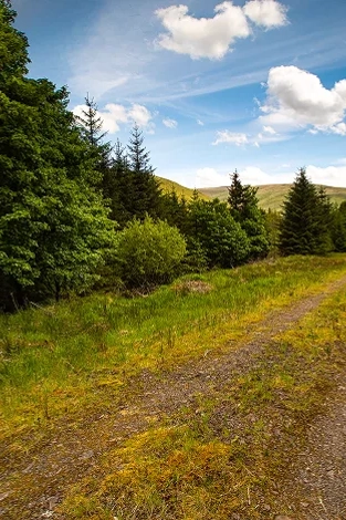 Liquidity, risk profiles and fund options explained